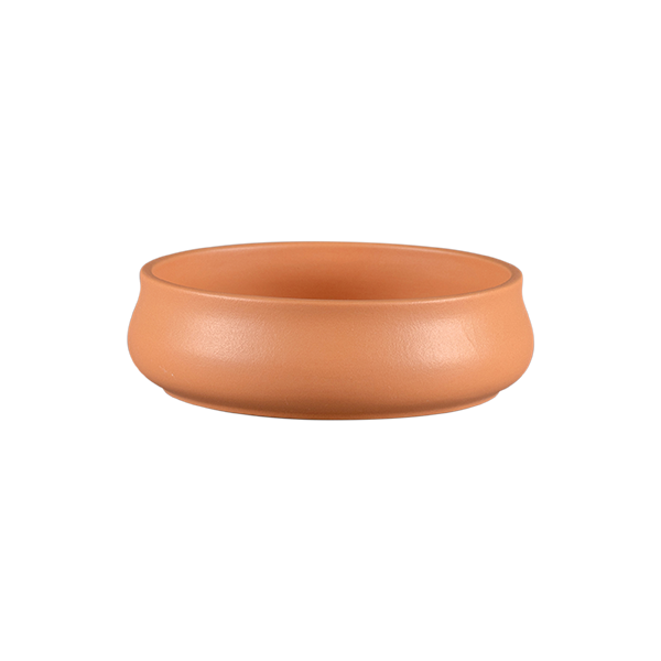 Thali Bowl | Big