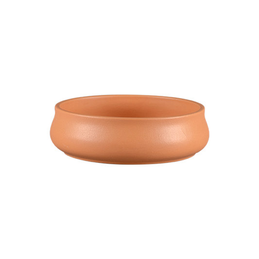 Thali Bowl | Big